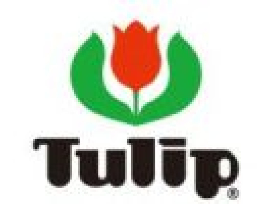 Tulip